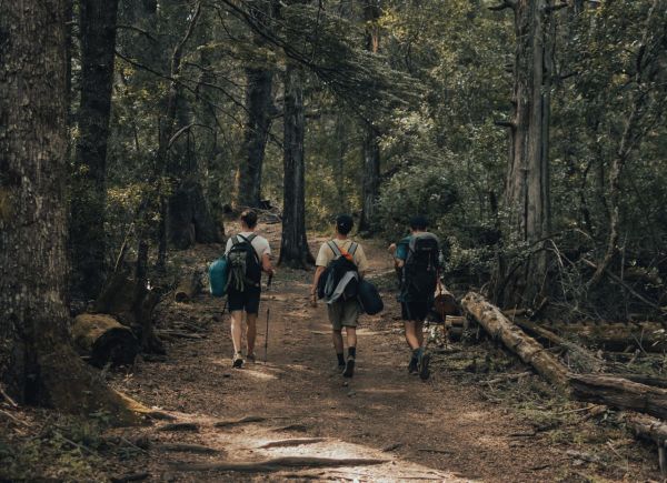 Quels sont les impacts environnementaux du tourisme moderne ?