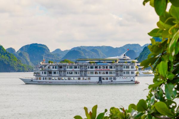 Top croisières économiques pour explorer la baie d'halong